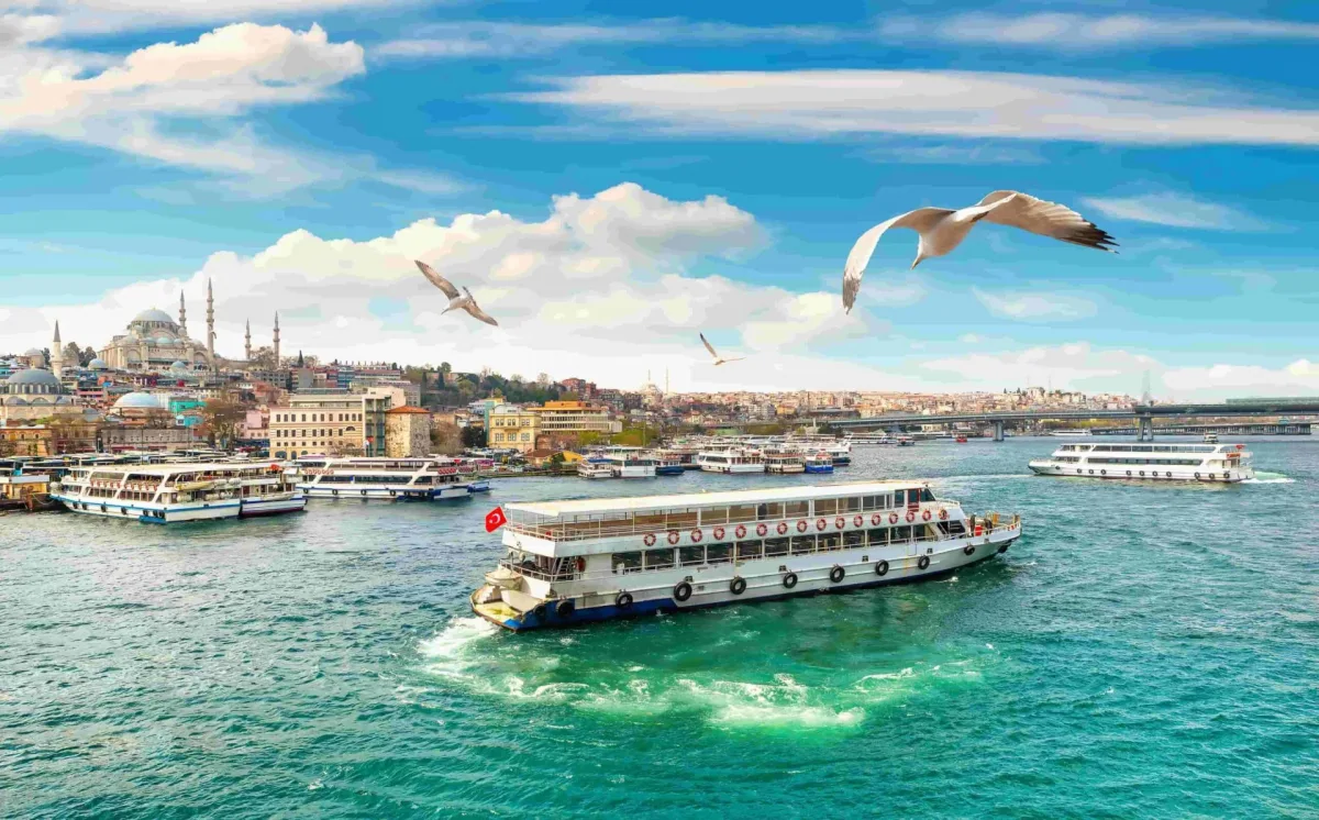 Bosphorus Cruise & Bus Tour - 1